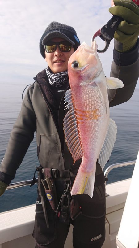 ARCADIAⅡ (アルカディアⅡ) 釣果