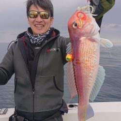 ARCADIAⅡ (アルカディアⅡ) 釣果