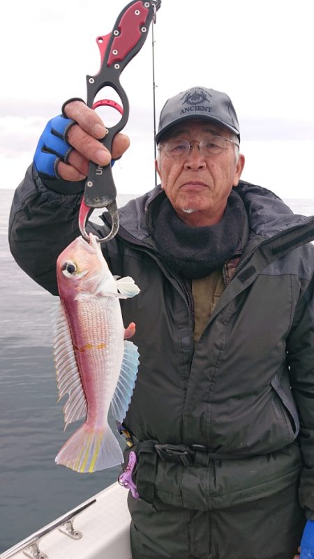 ARCADIAⅡ (アルカディアⅡ) 釣果