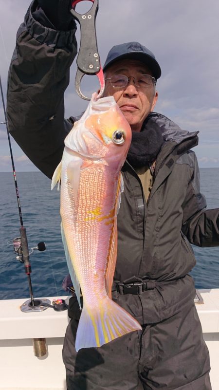 ARCADIAⅡ (アルカディアⅡ) 釣果