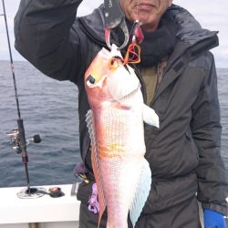 ARCADIAⅡ (アルカディアⅡ) 釣果