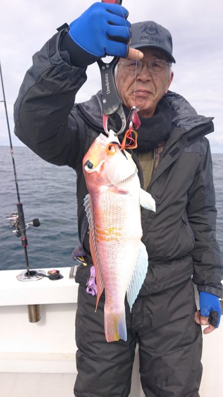 ARCADIAⅡ (アルカディアⅡ) 釣果