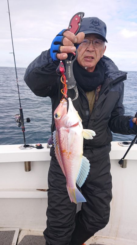 ARCADIAⅡ (アルカディアⅡ) 釣果