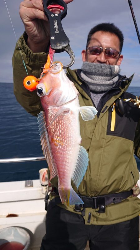 ARCADIAⅡ (アルカディアⅡ) 釣果