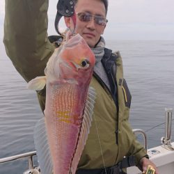 ARCADIAⅡ (アルカディアⅡ) 釣果