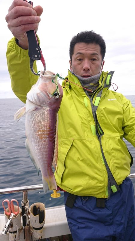 ARCADIAⅡ (アルカディアⅡ) 釣果