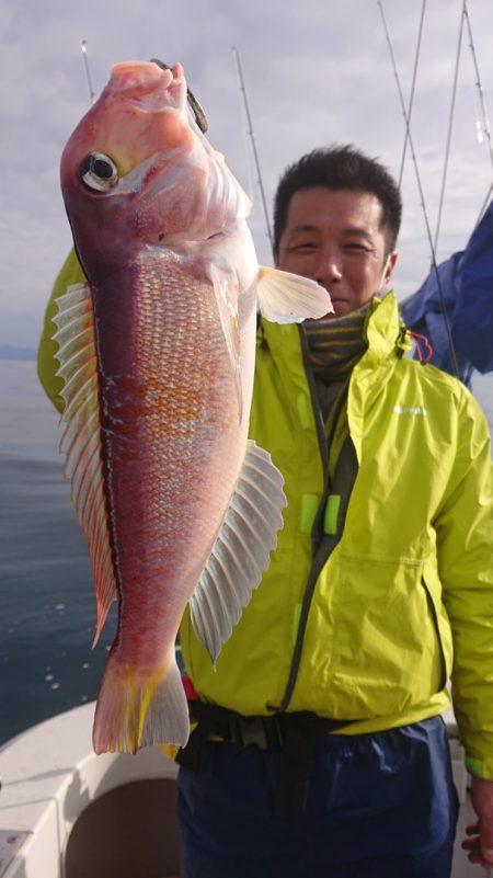 ARCADIAⅡ (アルカディアⅡ) 釣果