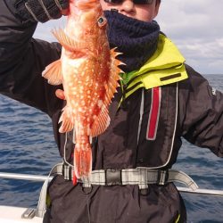 ARCADIAⅡ (アルカディアⅡ) 釣果