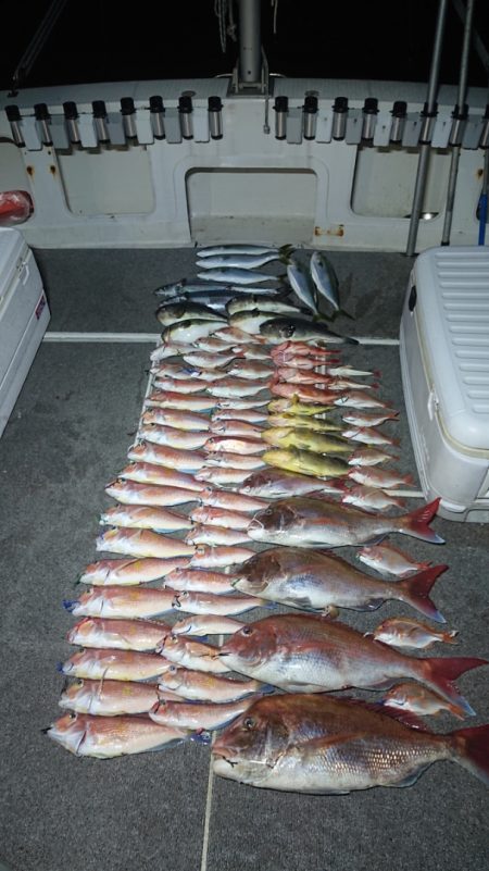 ARCADIAⅡ (アルカディアⅡ) 釣果