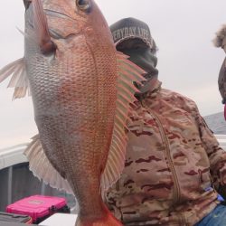 だて丸 釣果