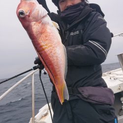 だて丸 釣果