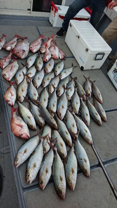 海皇丸 釣果