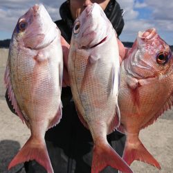 第三共栄丸 釣果