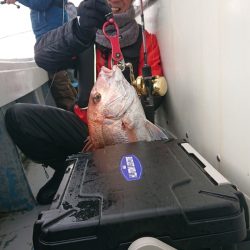 だて丸 釣果