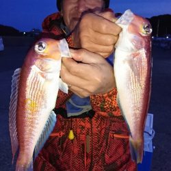 第三共栄丸 釣果