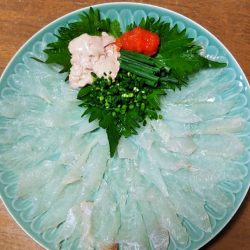 ブルースフィッシングサービス 釣果