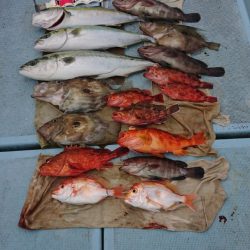 清和丸 釣果