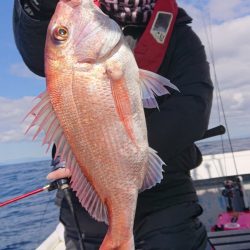 だて丸 釣果