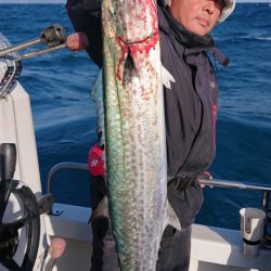 ARCADIAⅡ （アルカディアⅡ） 釣果