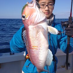 ARCADIAⅡ （アルカディアⅡ） 釣果