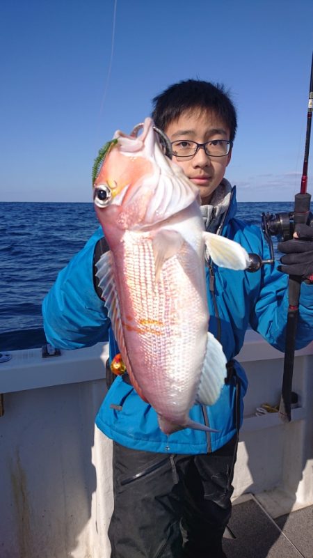 ARCADIAⅡ （アルカディアⅡ） 釣果