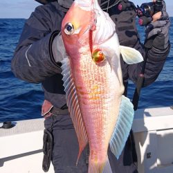 ARCADIAⅡ （アルカディアⅡ） 釣果