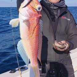 ARCADIAⅡ （アルカディアⅡ） 釣果