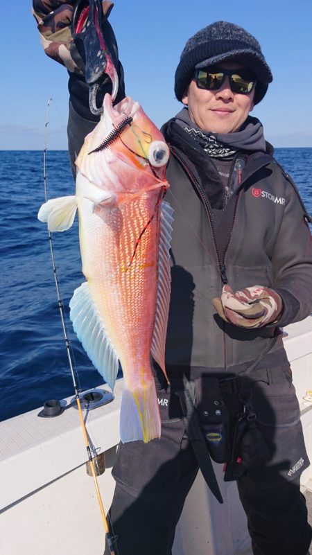 ARCADIAⅡ （アルカディアⅡ） 釣果