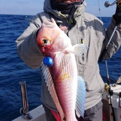 ARCADIAⅡ （アルカディアⅡ） 釣果