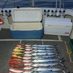 ARCADIAⅡ （アルカディアⅡ） 釣果