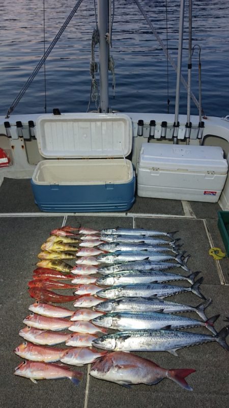 ARCADIAⅡ （アルカディアⅡ） 釣果