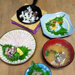 ブルースフィッシングサービス 釣果