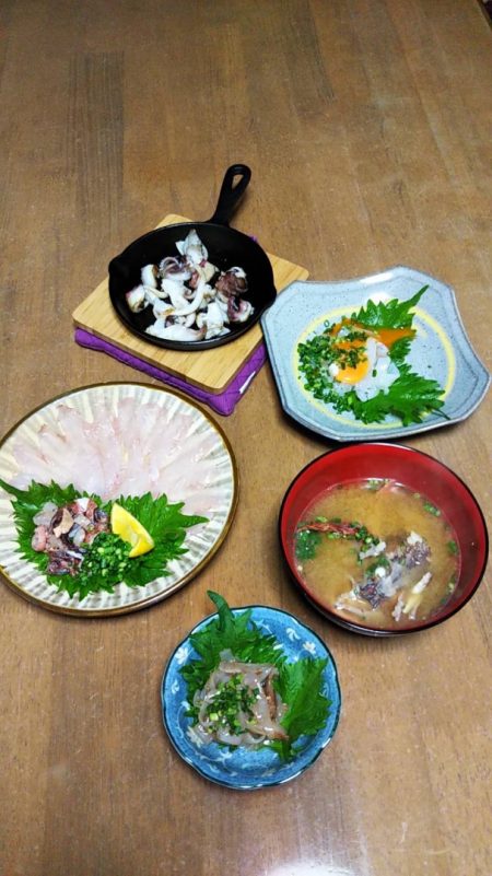 ブルースフィッシングサービス 釣果