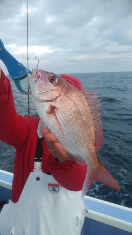新幸丸 釣果