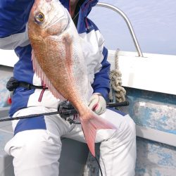 だて丸 釣果