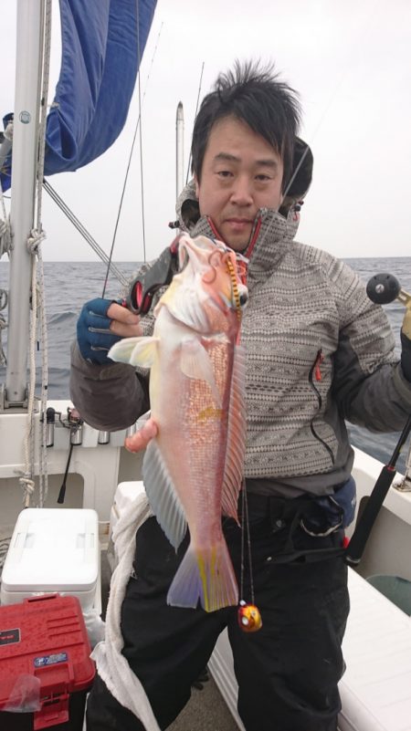 ARCADIAⅡ (アルカディアⅡ) 釣果