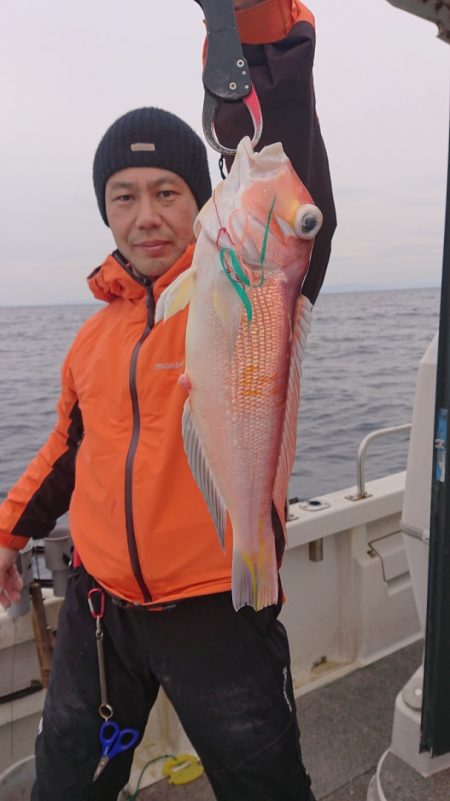 ARCADIAⅡ (アルカディアⅡ) 釣果