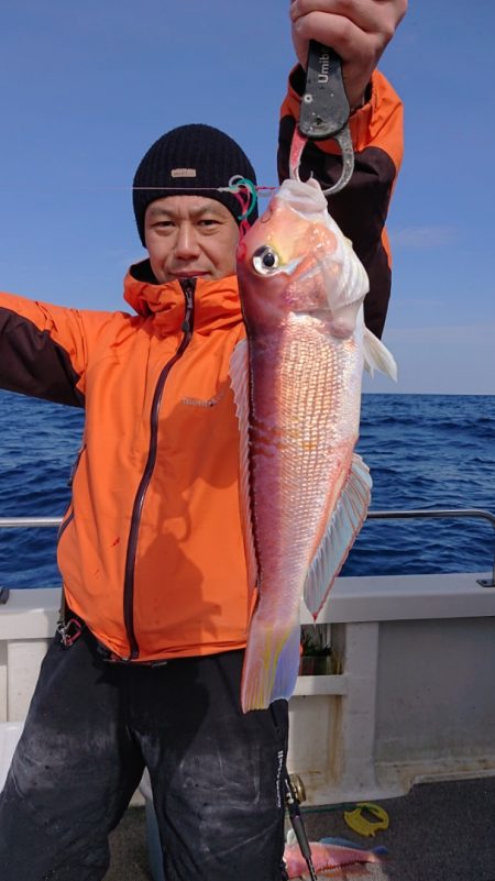 ARCADIAⅡ (アルカディアⅡ) 釣果