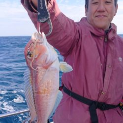 ARCADIAⅡ (アルカディアⅡ) 釣果