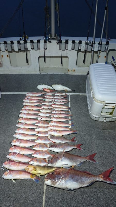 ARCADIAⅡ (アルカディアⅡ) 釣果