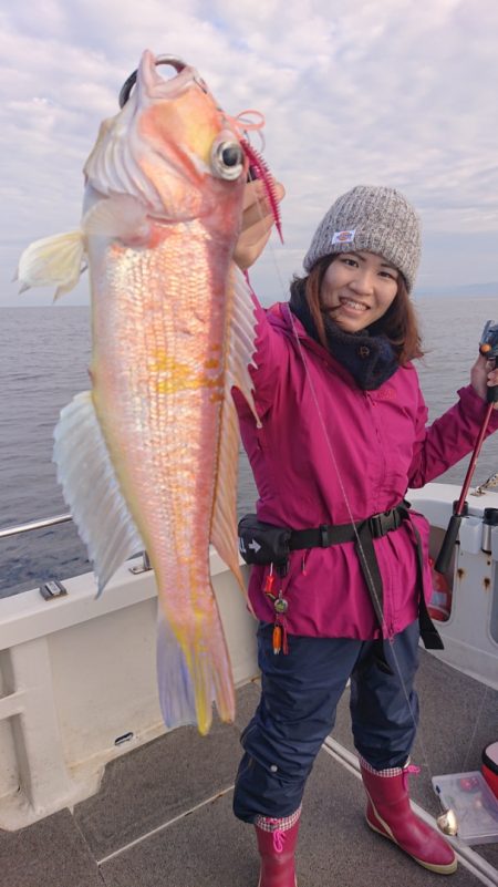 ARCADIAⅡ （アルカディアⅡ） 釣果…