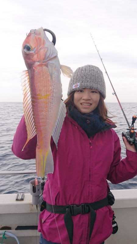 ARCADIAⅡ (アルカディアⅡ) 釣果