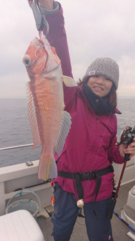 ARCADIAⅡ (アルカディアⅡ) 釣果