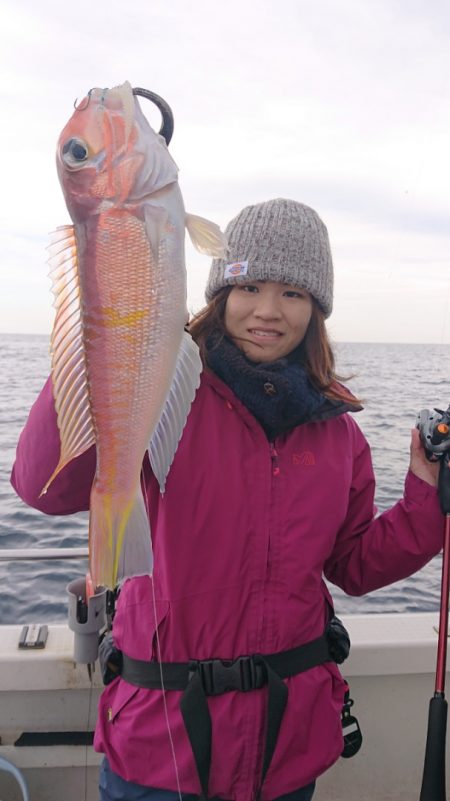 ARCADIAⅡ (アルカディアⅡ) 釣果