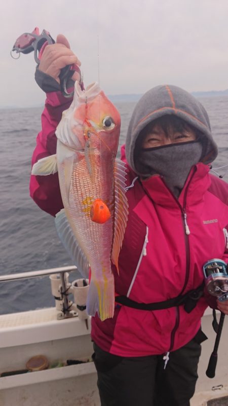 ARCADIAⅡ (アルカディアⅡ) 釣果