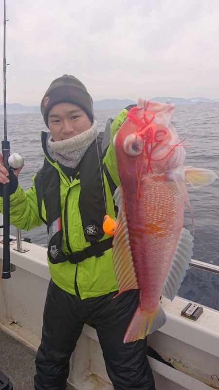 ARCADIAⅡ (アルカディアⅡ) 釣果