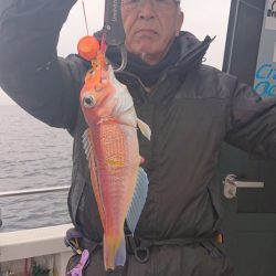 ARCADIAⅡ (アルカディアⅡ) 釣果