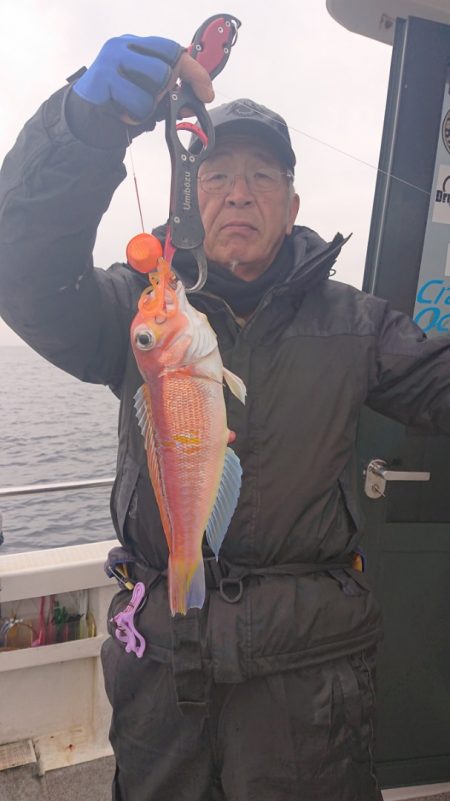 ARCADIAⅡ (アルカディアⅡ) 釣果