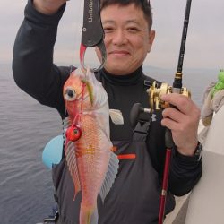 ARCADIAⅡ (アルカディアⅡ) 釣果