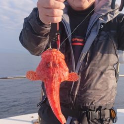 ARCADIAⅡ (アルカディアⅡ) 釣果